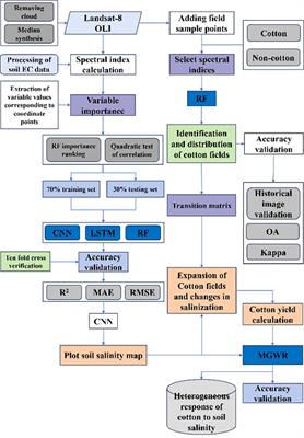 Spatial heterogeneity response of soil salinization inversion cotton field expansion based on deep learning